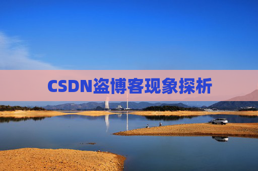 CSDN盗博客现象探析